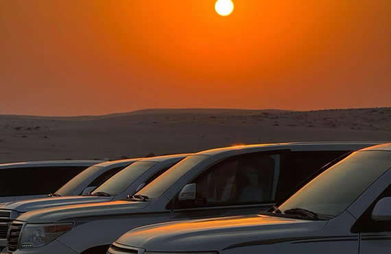 Full Day Desert Safari Tour